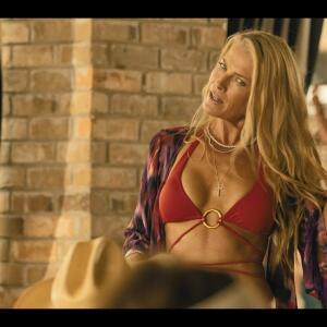 Ali Larter other